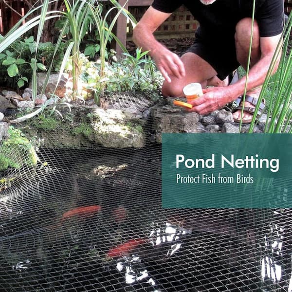 anti bird net for fish pond Netting Kit 15FTx20FT fine and Durable mesh Heavy Duty Pool Pond Cover Mesh Leaves Net The adjustable frame is designed to cover ponds measuring approximately 9 ft to 16 ft across SUNSHORE Pond Netting Kit 15FTx20FT
