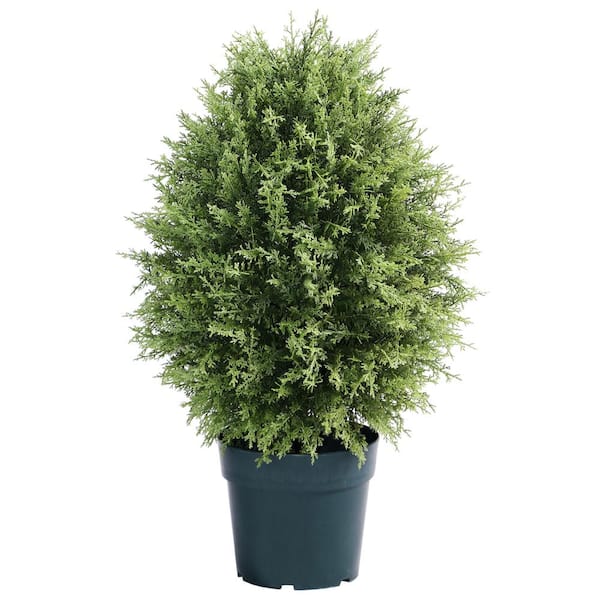 National Tree Company 32" Artificial Cypress Tree in Dark Green Round Growers Pot