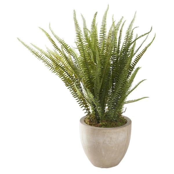 D&W Silks Indoor Artificial Boston Fern In Round Resin Planter