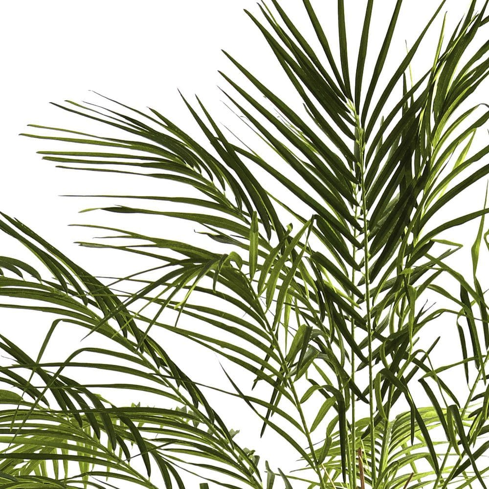 Green 6-ft Faux Palm Tree in Black Pot