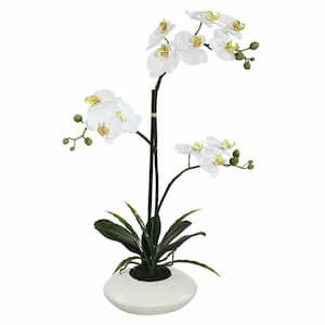 25 in. Artificial White Orchid Floral Arrangements