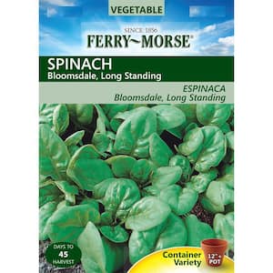 Spinach Bloomsdale Long-Standing Seed