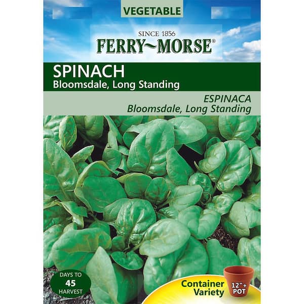 Ferry-Morse Spinach Bloomsdale Long-Standing Seed