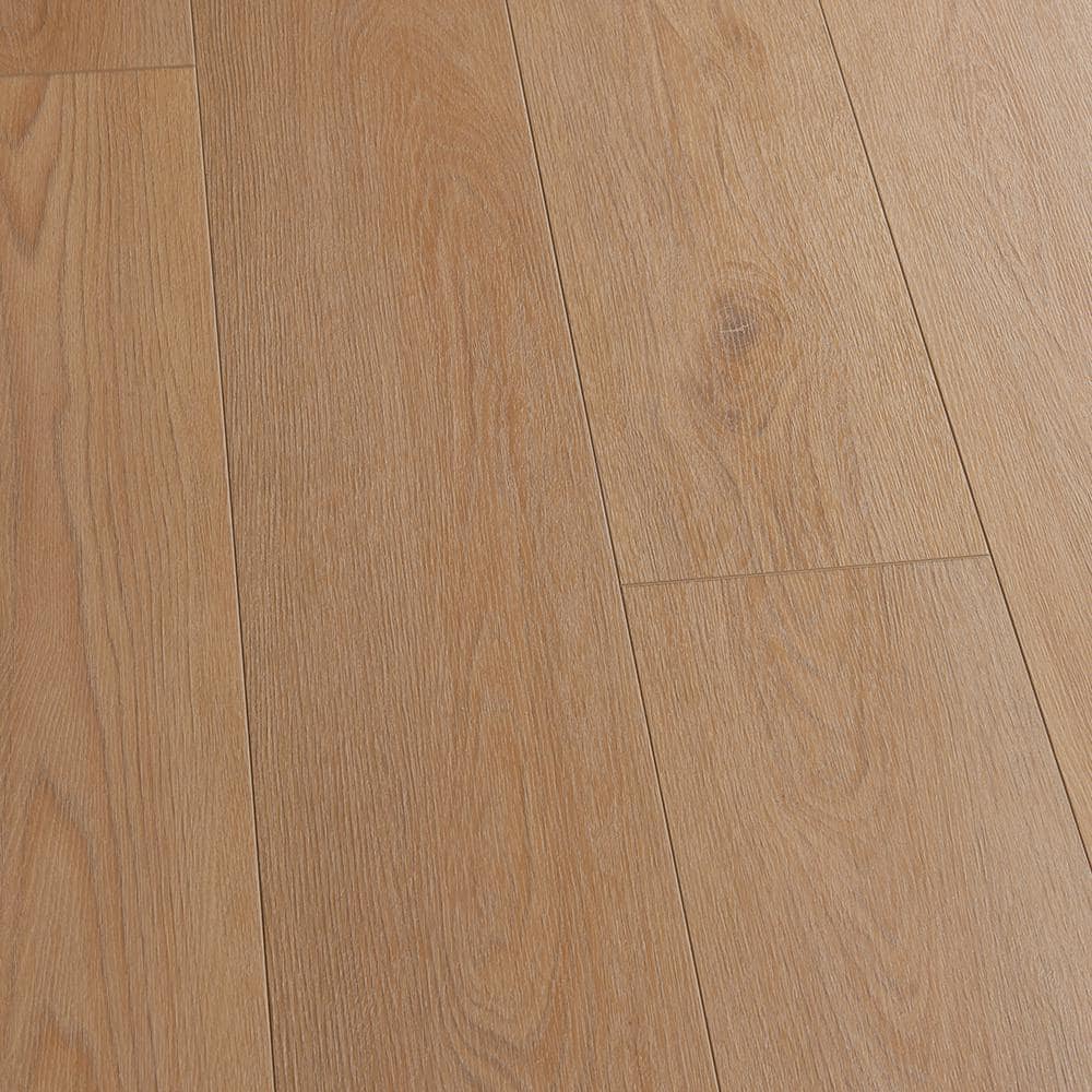 Take Home Sample - French Oak Lincoln Park Click Lock Waterproof Luxury Vinyl Plank Flooring price history on PriceWatchPro