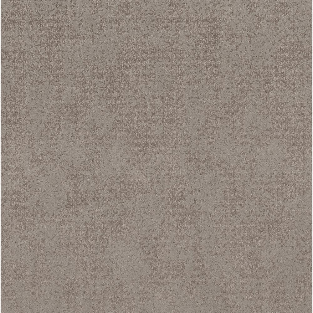 8 in. x 8 in. Pattern Carpet Sample - Elegant Dosinia - Color Cottage price history on PriceWatchPro