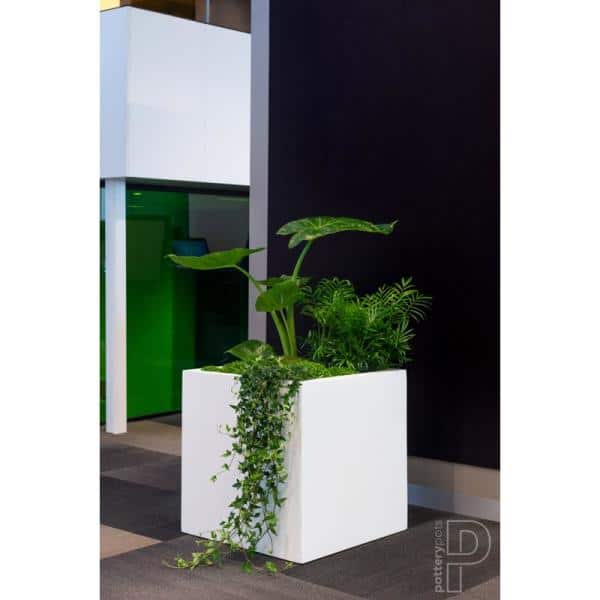 Block Medium 16 in. Tall Mat White Fiberstone Indoor Outdoor Modern Square Planter