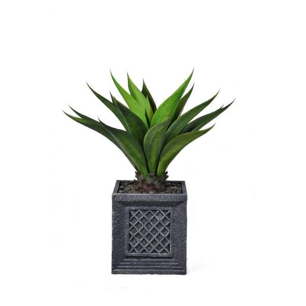 Laura Ashley 38 in. Tall Giant Aloe in Planter