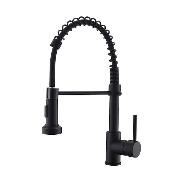 Single Handle Pull Down Sprayer Kitchen Faucet with 2-Functions Pull Out Spray in Black