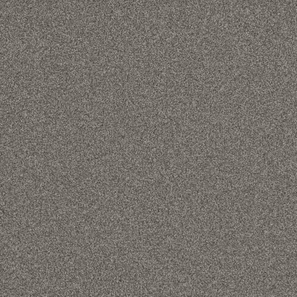 8 in. x 8 in. Texture Carpet Sample-Harpstring I-Color Poetry