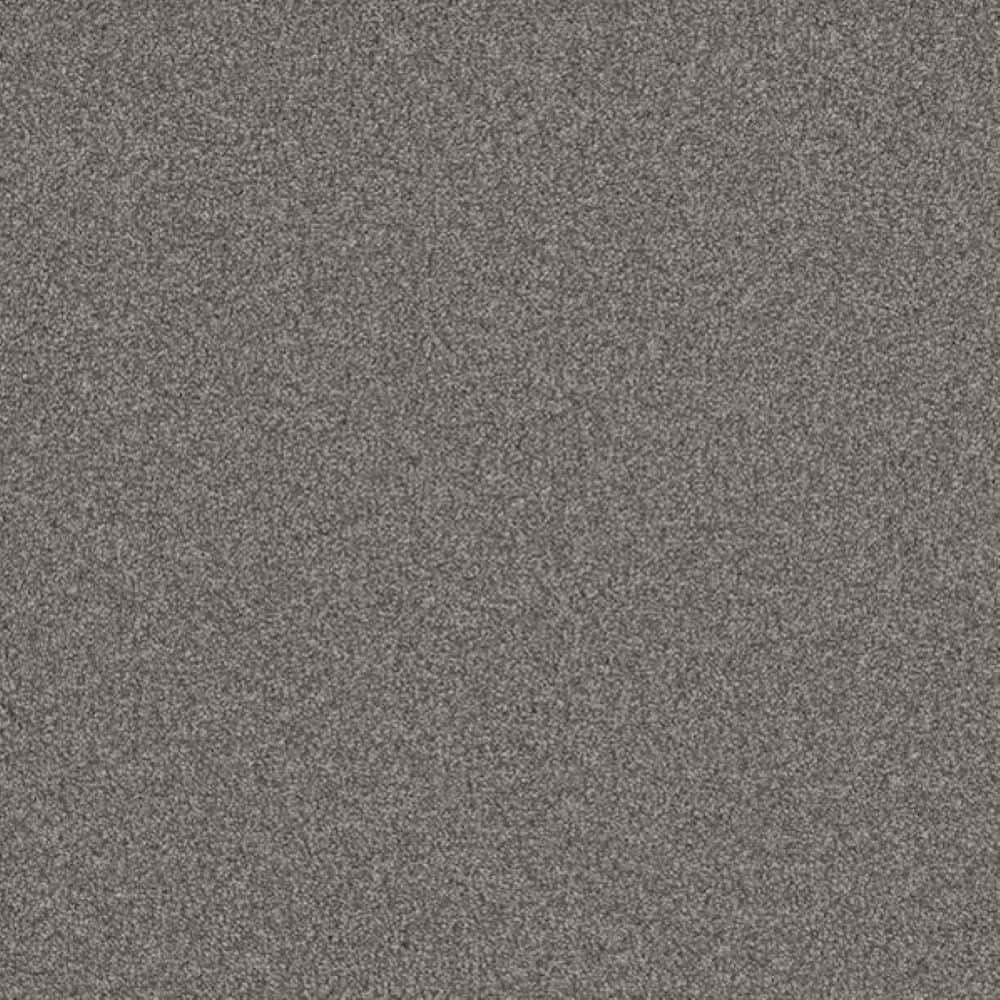 8 in. x 8 in. Texture Carpet Sample-Harpstring II-Color Poetry price history on PriceWatchPro