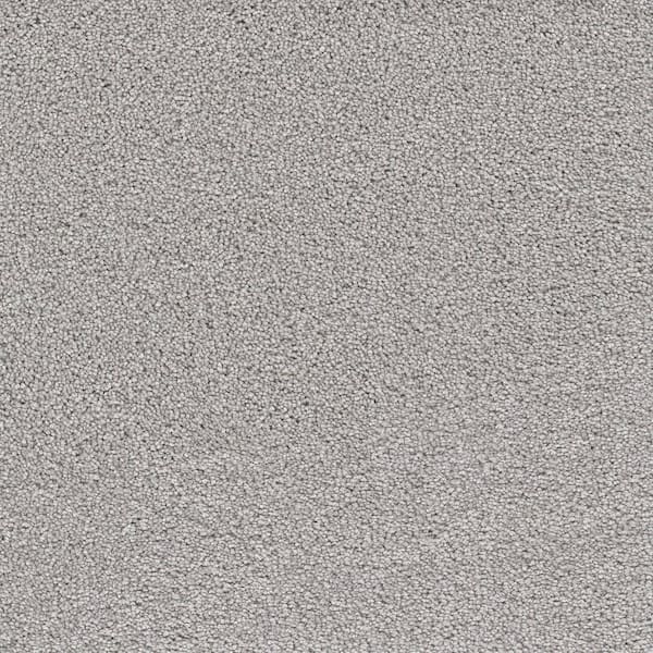 Home Decorators Collection Perfected I  - Exquisite - Gray 40 oz. SD Polyester Texture Installed Carpet
