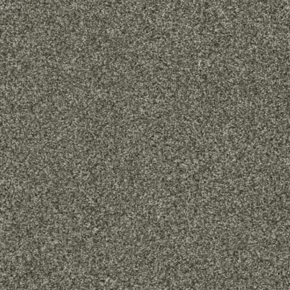 8 in. x 8 in. Texture Carpet Sample-Trestle II-Color Arch price history on PriceWatchPro