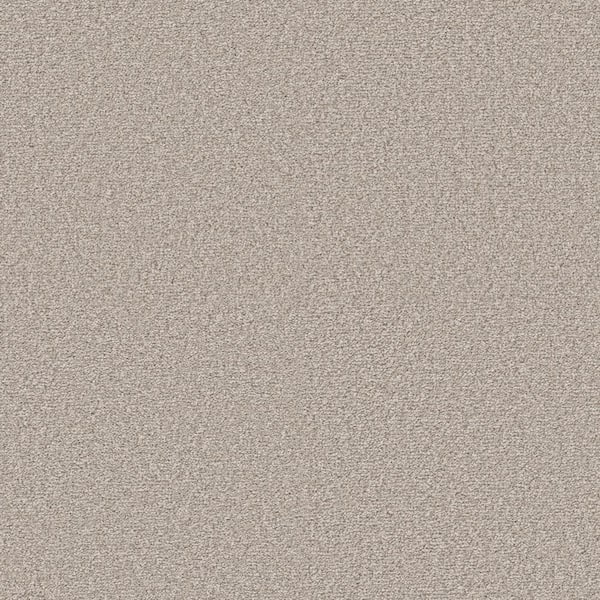 Home Decorators Collection Enchanted - Color Adobe 61 oz. Polyester Texture Beige Installed Carpet