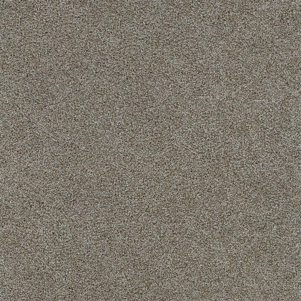 8 in. x 8 in. Texture Carpet Sample-Dewdrop II-Color Rain price history on PriceWatchPro