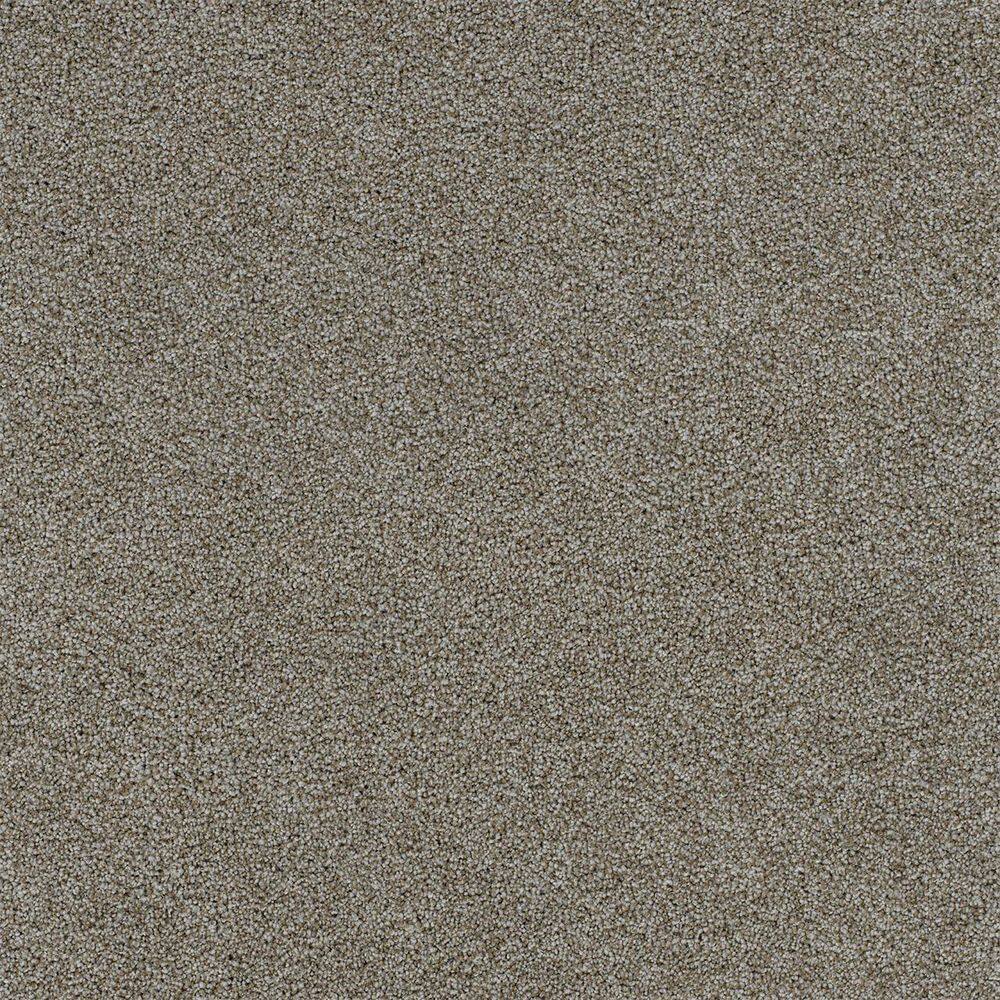 8 in. x 8 in. Texture Carpet Sample-Dewdrop III-Color Rain price history on PriceWatchPro