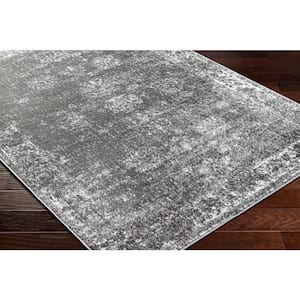 Monte Carlo Charcoal Ombre 5 ft. x 7 ft. Indoor Area Rug