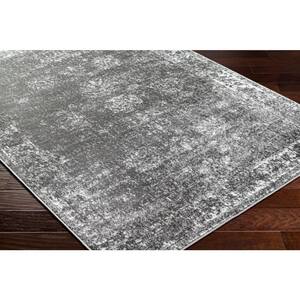Monte Carlo Charcoal Ombre 9 ft. x 12 ft. Indoor Area Rug