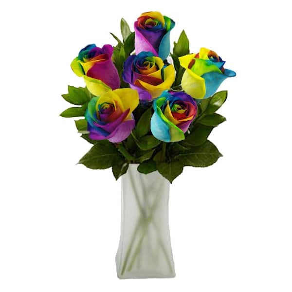 The Ultimate Bouquet Gorgeous Rainbow Rose Bouquet in Clear Vase (6 Stem) Overnight Shipping Included