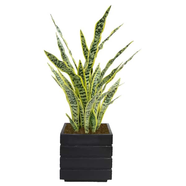 VINTAGE HOME 3.5 in. Artificial Tall Agave with Fiberstone Planter