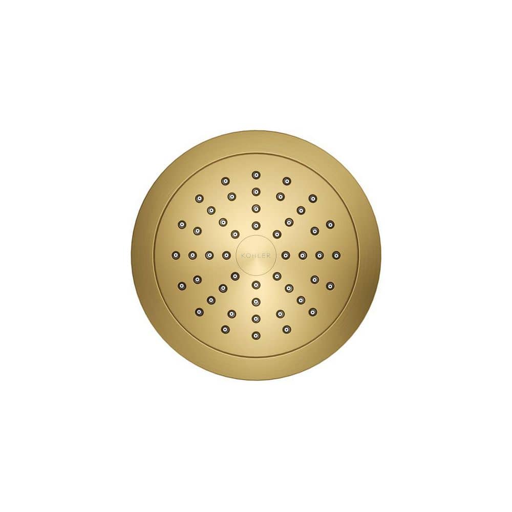 Vibrant Brushed Brass Wall Mounted Filtered Showerhead
