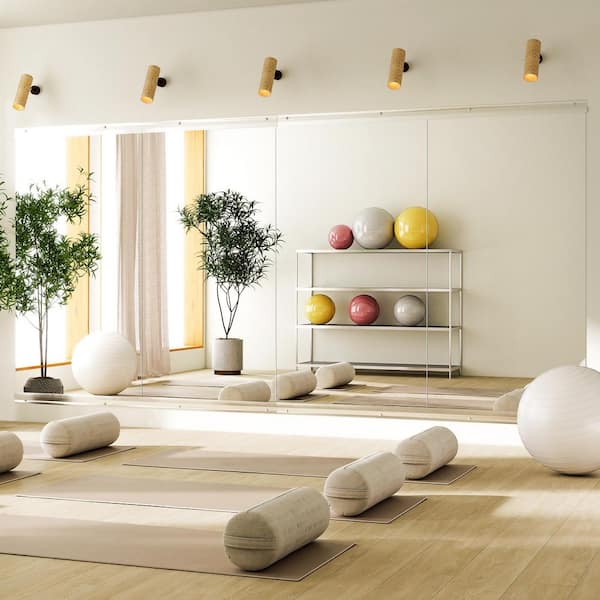 2-Pieces 28 in. W x 55 in. H Rectangle Frameless Gym Mirror Dance Mirror Wall Mirror