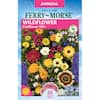 ferry-morse-flower-seeds-2183-