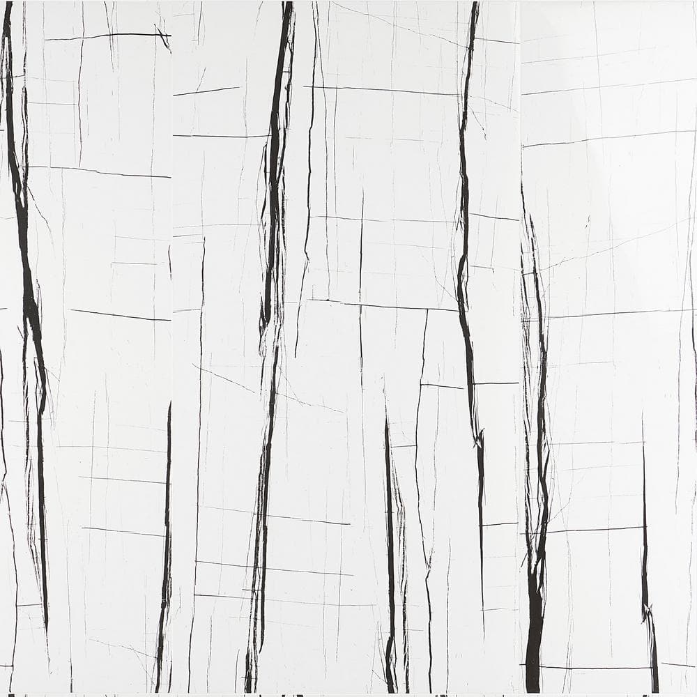 Selene White Noir 24 in. x 48 in. Polished Porcelain Floor and Wall Tile (15.49 sq. ft./Case) price history on PriceWatchPro