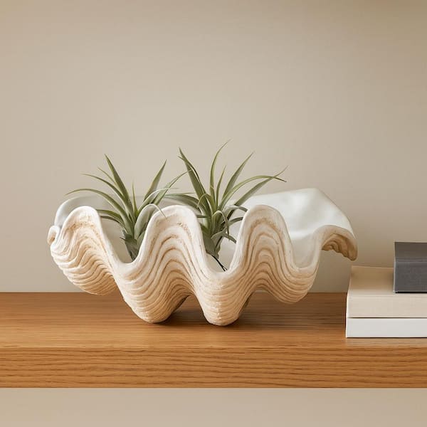Liv & Skye Ivory 16 in. x 11 in. Resin Coastal Pearlized Clam