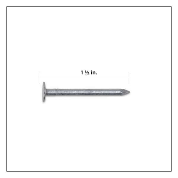#11 x 1-1/2 in. Hot Dipped Galvanized Non-Collated Roofing Nails 5 lbs. (815-Count)