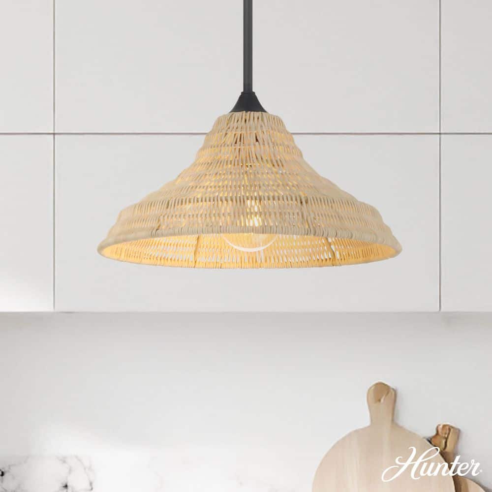 Hunter Agoura 1 Light Matte Black Cone Pendant Lighting for Dining Room price history on PriceWatchPro