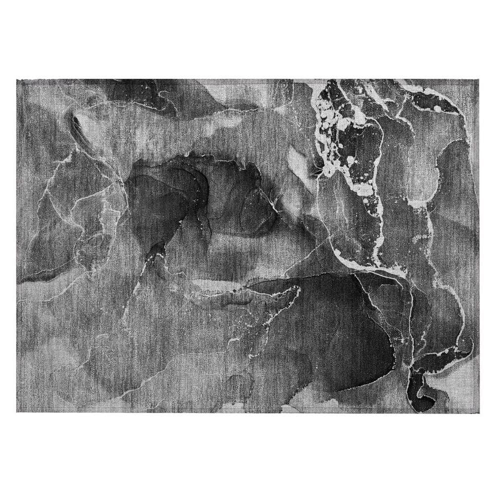 Black Gray and White 2 ft. x 3 ft. Abstract Indoor/Outdoor Area Rug price history on PriceWatchPro