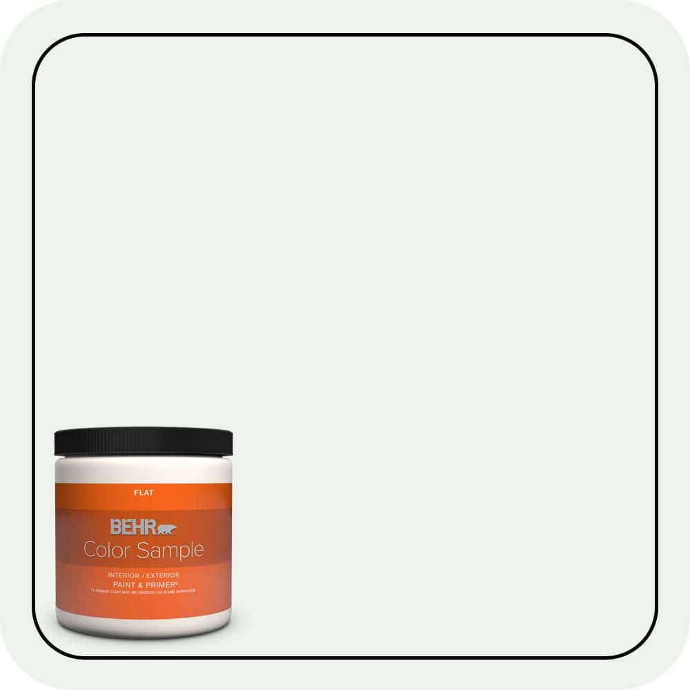 8 oz. #ECC-65-2 Mineral Spring Flat Interior/Exterior Paint & Primer Color Sample price history on PriceWatchPro