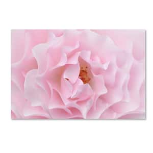 22 in. x 32 in. "Rose Pink Rose" by Cora Niele Printed Canvas Wall Art