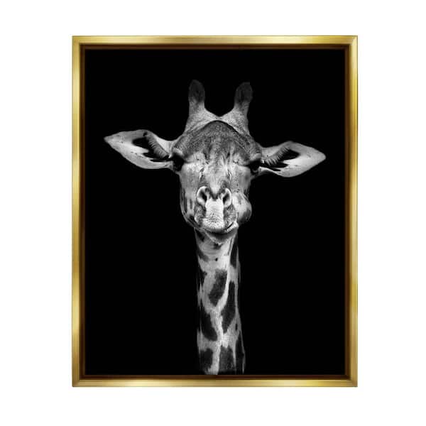 The Stupell Home Decor Collection Greyscale Zebra Stripes Detailed Photography Portrait by Incado Floater Frame Animal Wall Art Print 21 in. x 17 in.