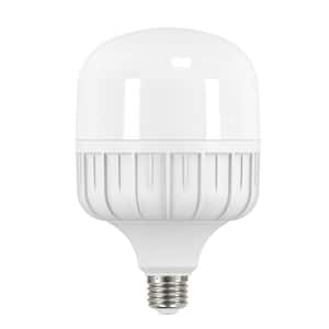 100-Watt Equivalent E26 High Lumen LED Light Bulb Cool White (1-Bulb)