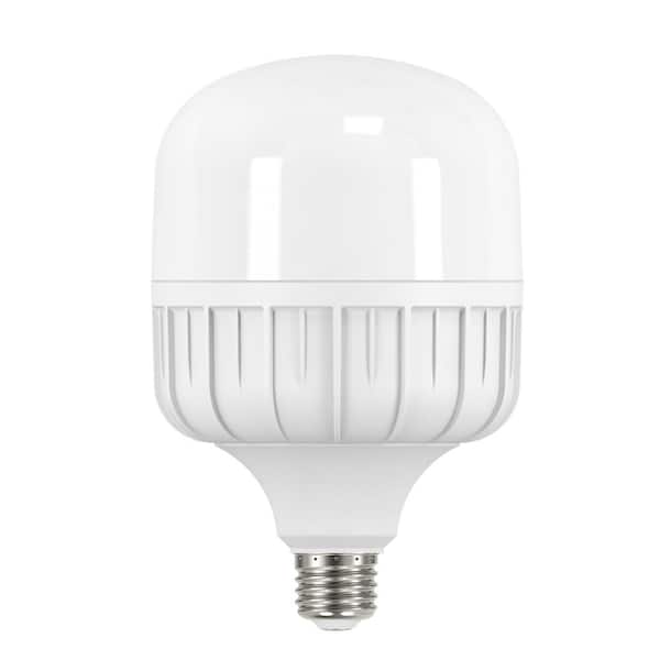 Overzicht droog Koken Orein 100-Watt Equivalent E26 High Lumen LED Light Bulb Cool White (1-Bulb)  A9T200WE26UL01 - The Home Depot