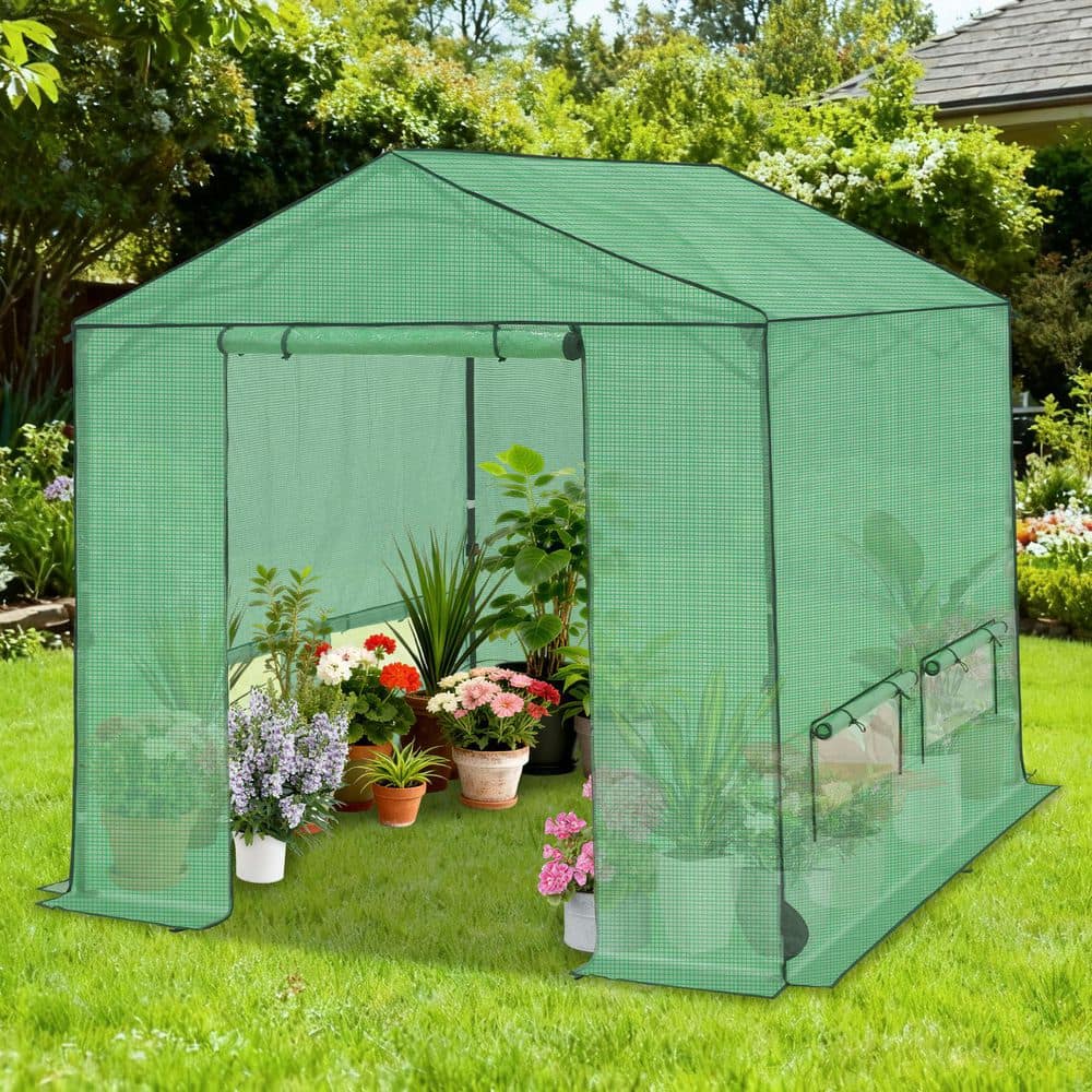 COOS BAY 10 ft. x 10 ft. Pop-Up Walk-in portable Greenhouse for