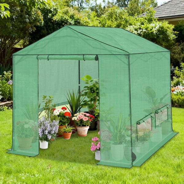 COOS BAY 10 ft. x 10 ft. Pop-Up Walk-in portable Greenhouse for