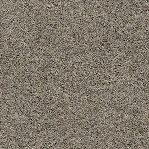 Whispers  - Herald - Gray 38 oz. SD Polyester Texture Installed Carpet