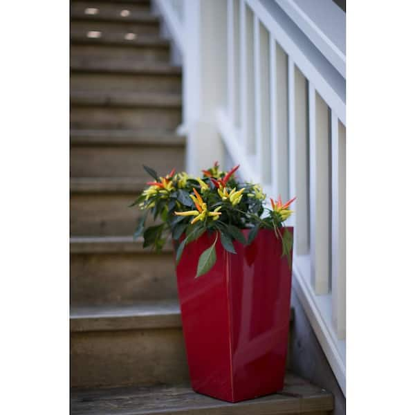 Modena 22 in. Square, Gloss Red Self-Watering Plastic Planter