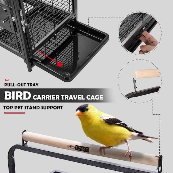 Bird carrier outlet travel cage