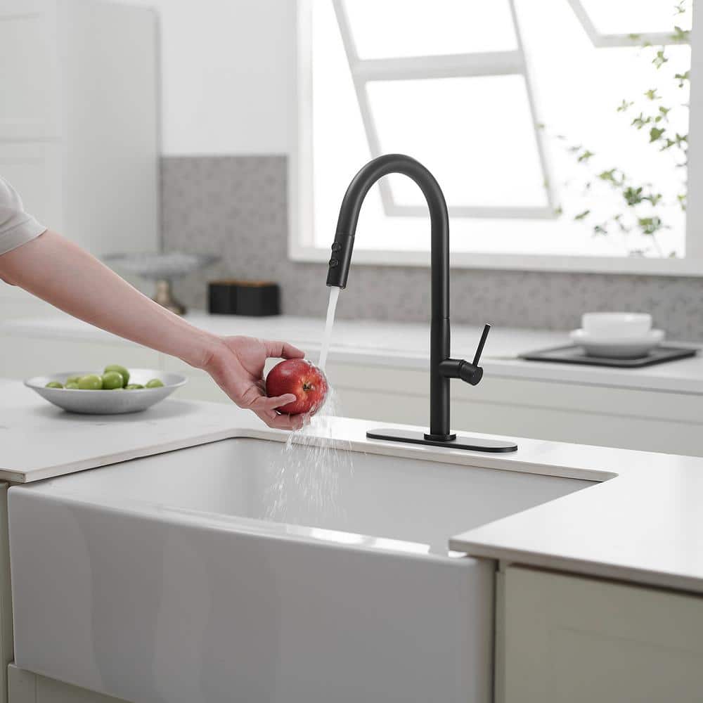 Matte Black Brass High Arc Single Handle Kitchen Faucet