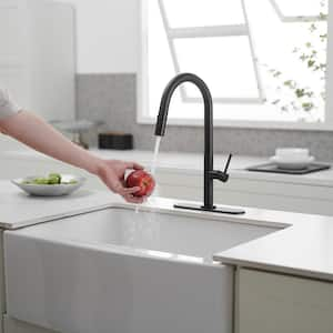 Single Handle Pull Down Sprayer Kitchen Faucet in Matte Black