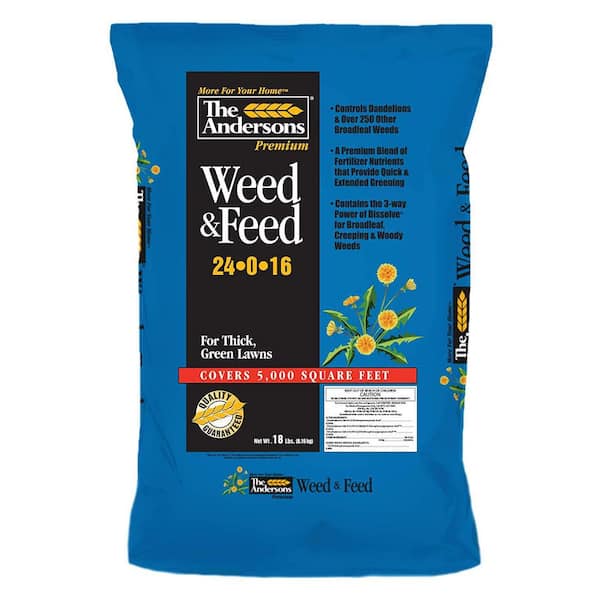 The Andersons 18 lbs. 5,000 sq ft Weed and Feed (24-0-16)
