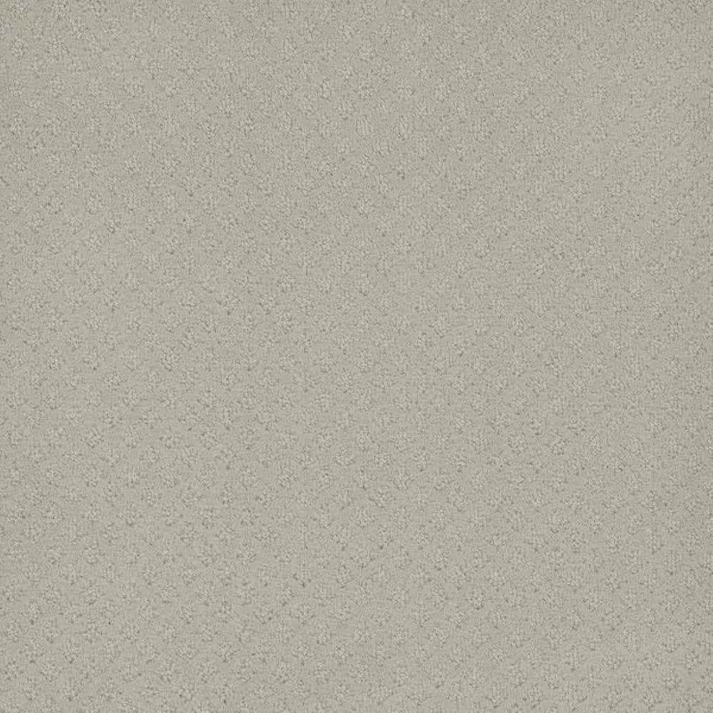 8 in. x 8 in. Pattern Carpet Sample-Bell Loop-Color Reverie price history on PriceWatchPro