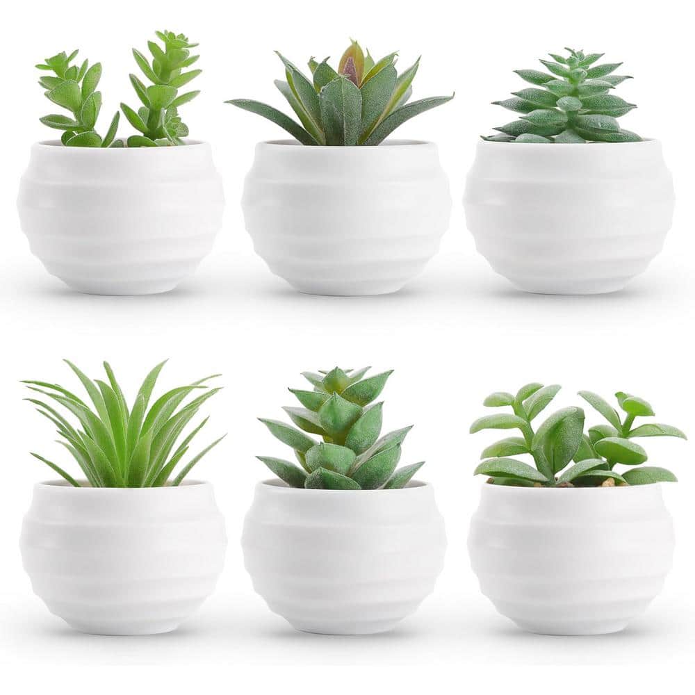 3.14 in. Green Indoor Succulents Artificial Plants in Pots, Set of 6