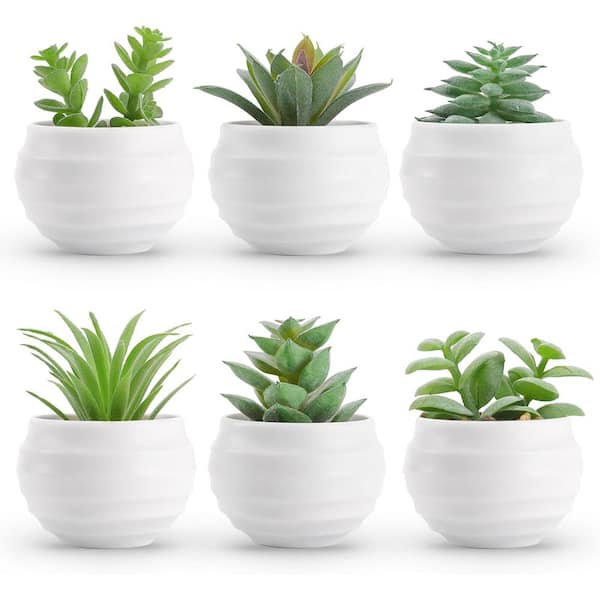 Cubilan 3.14 in. Green Indoor Succulents Artificial Plants in Pots, Set of 6