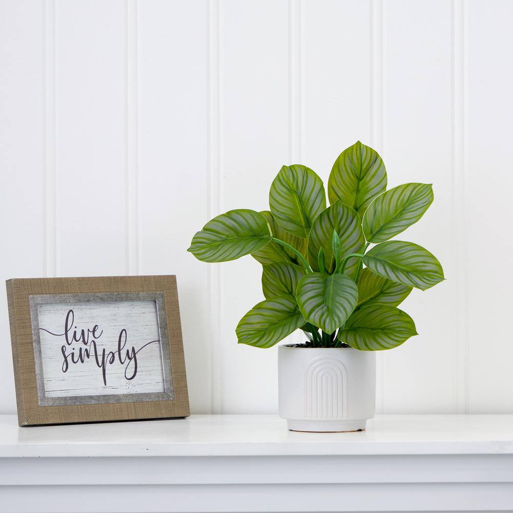 Nearly Natural Green Calathea Potted Plant in White Planter