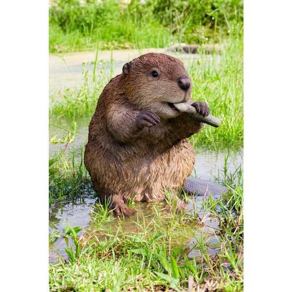 HI-LINE GIFT LTD. American Beaver Garden Statue 87666-A - The Home