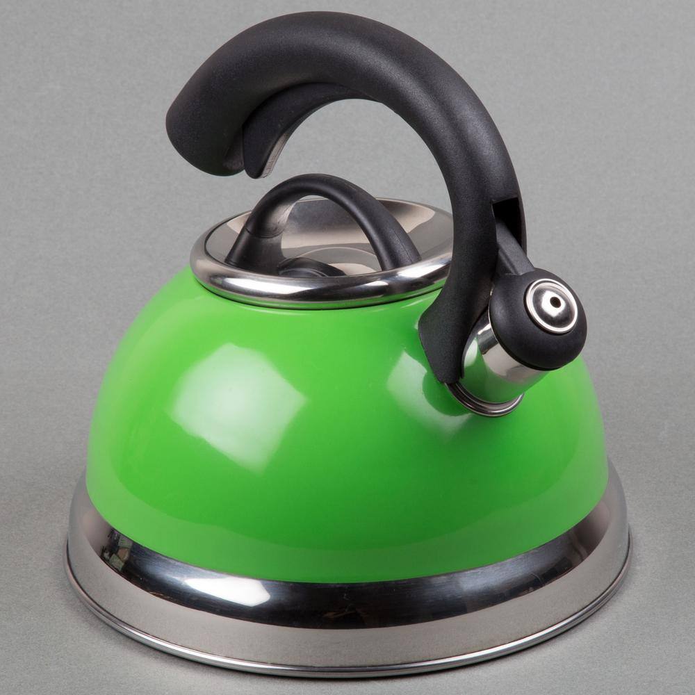 Green Stainless Steel Whistling Tea Kettle with Black Handle